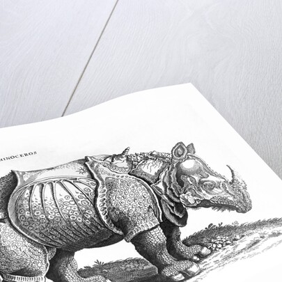 Rhinoceros, 1515 by Albrecht (after) Durer or Duerer