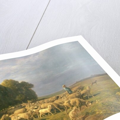 Flock of Sheep in a Landscape by Charles Emile Jacque