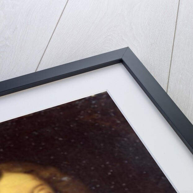 Cesar de Bourbon Duke of Vendome and Beaufort by Pierre Mignard