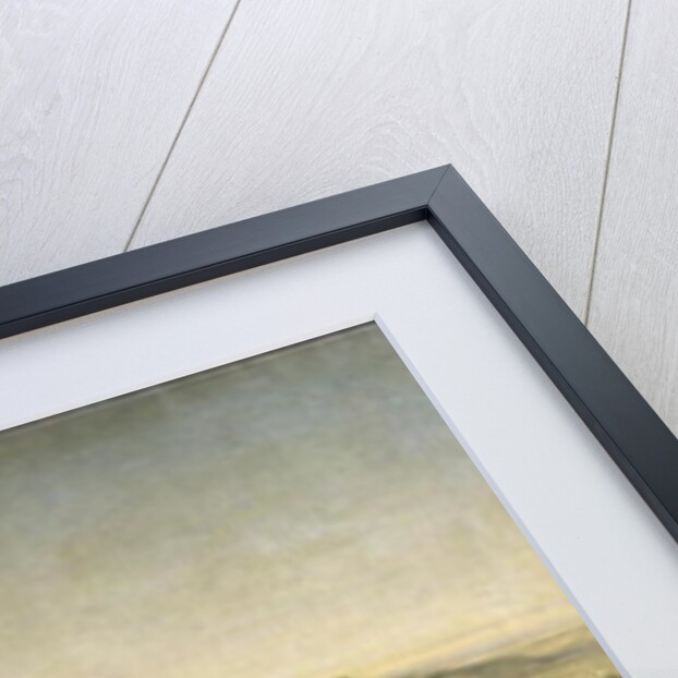 Threshing Wheat in Algeria, 1853 by Adolphe Pierre Leleux