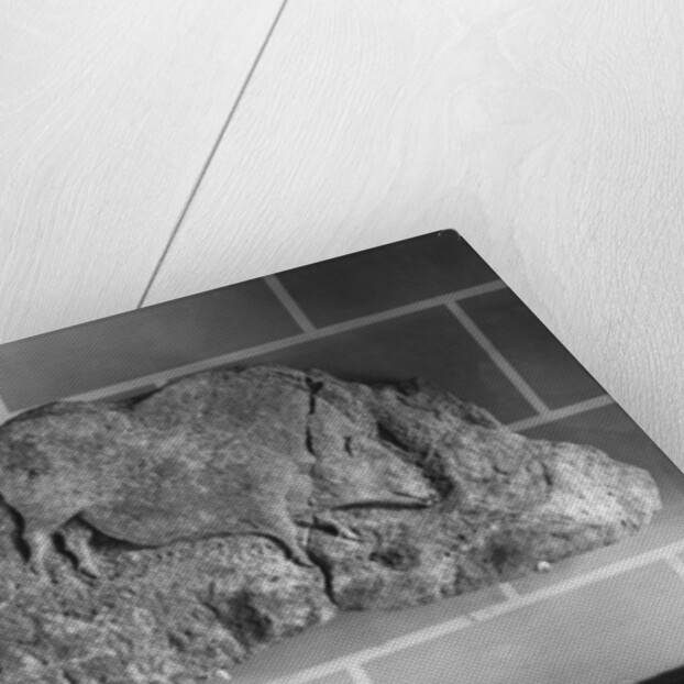 Cast of a frieze of animals from Le Roc de Sers, Charente, Solutrean Period, 20000-15000 BC by Prehistoric Prehistoric