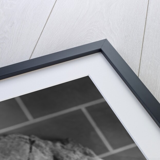 Cast of a frieze of animals from Le Roc de Sers, Charente, Solutrean Period, 20000-15000 BC by Prehistoric Prehistoric