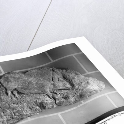 Cast of a frieze of animals from Le Roc de Sers, Charente, Solutrean Period, 20000-15000 BC by Prehistoric Prehistoric