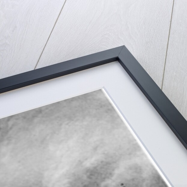 Publishing the martial law at the Champs-de-Mars, Paris, 17th July 1791 by Jean Louis the Younger Prieur