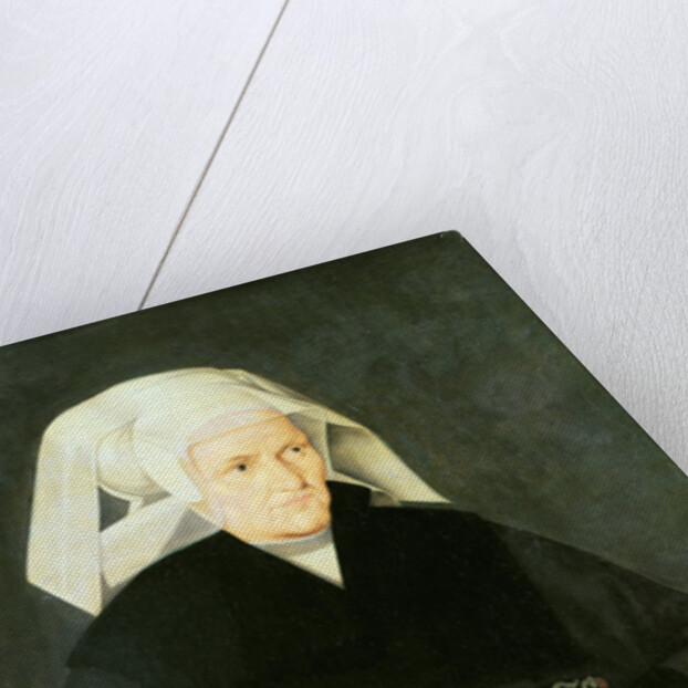 Portrait of a Woman, c.1550 by Bartholomaeus the Elder Bruyn