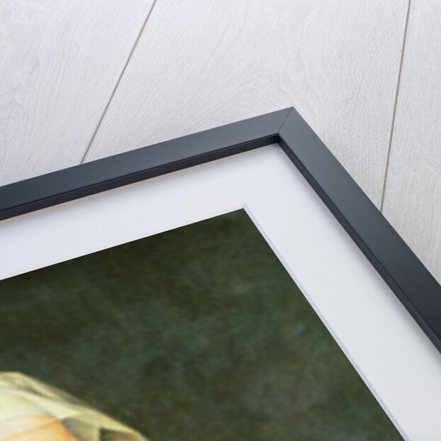 Portrait of a Woman, c.1550 by Bartholomaeus the Elder Bruyn