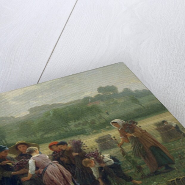 Harvesting Poppies in Picardy, 1860 by Desire Francois Laugee