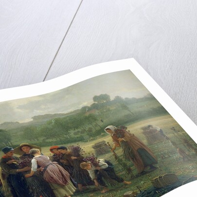 Harvesting Poppies in Picardy, 1860 by Desire Francois Laugee