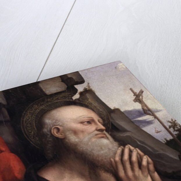 The Penitent St. Jerome by Giovanni Pietro Rizzoli Giampietrino