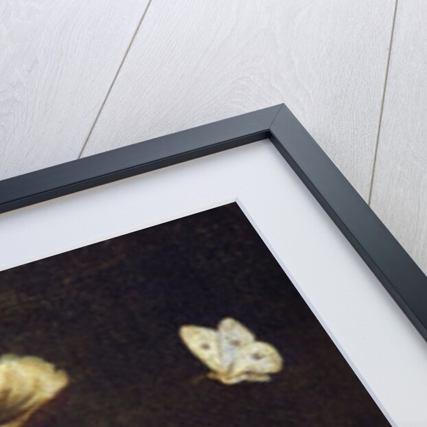 Still Life with Mushrooms and Butterflies by Otto Marseus van Schrieck