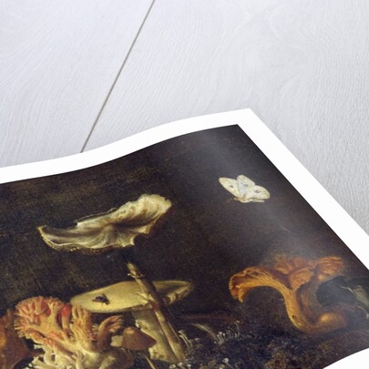 Still Life with Mushrooms and Butterflies by Otto Marseus van Schrieck