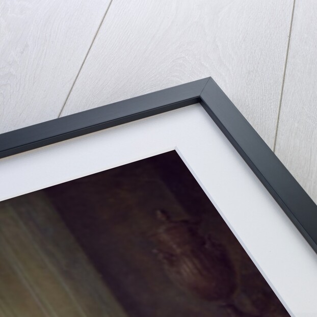 Family in an Interior with Squirrels, possibly the Burton Family from Eltham, Kent, 1755-60 by Philippe Mercier