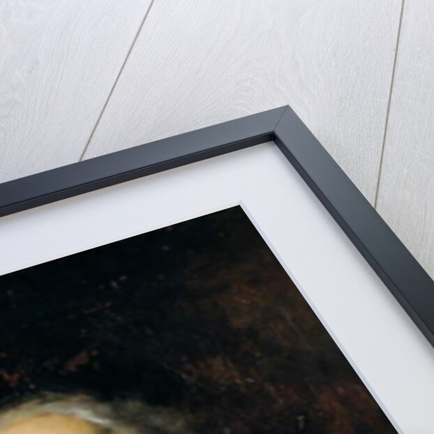 Jules Janssen by Jean-Jacques Henner