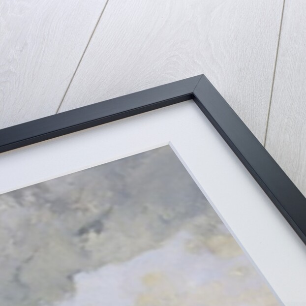 The Flooding of the Seine, c.1903 by Luigi Loir