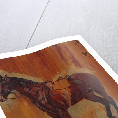 Study of a Horse by Jean-Louis Ernest Meissonier