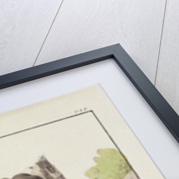 The Knife Grinder by French School