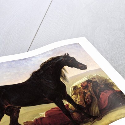 An Arabian Horse by Baron Antoine Jean Gros