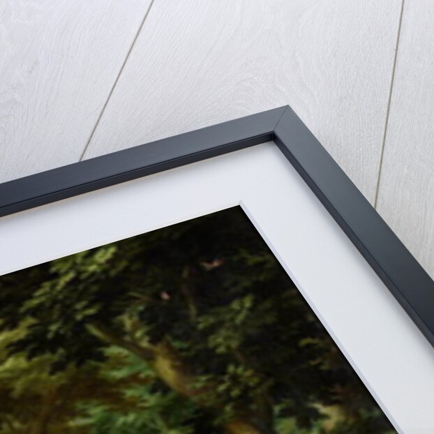 The Rape of Persephone by Jan Soens