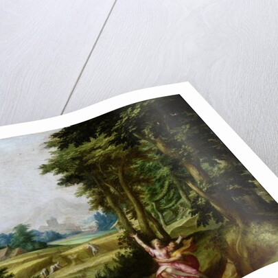 The Rape of Persephone by Jan Soens