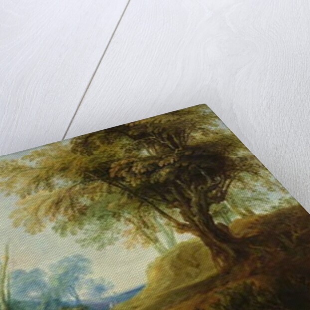 Wooded Landscape with a Pond by Peeter Snayers