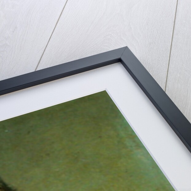 Portrait of Citizen Bourgeon 1800 by Anne Louis Girodet de Roucy-Trioson