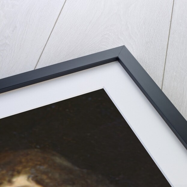 Leon Bouthilier Comte de Chavigny, after 1643 by Philippe de Champaigne