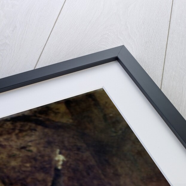 Constant Coquelin as Cyrano de Bergerac by Theobald Chartran