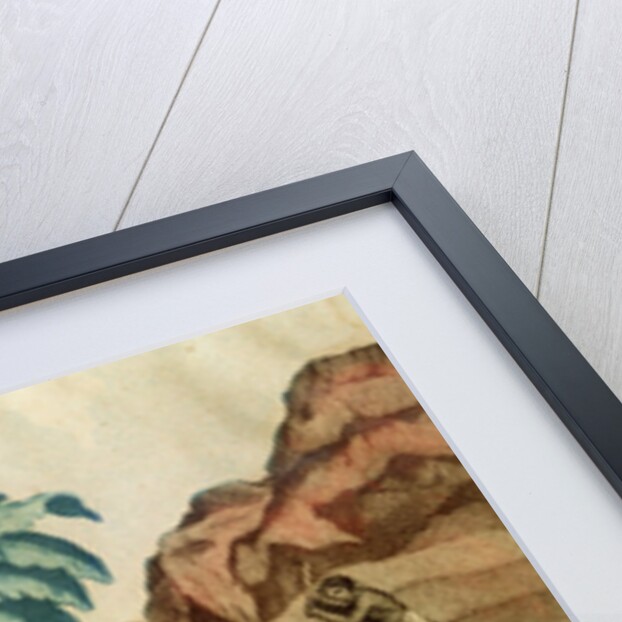 The Childhood of Paul and Virginie by French School