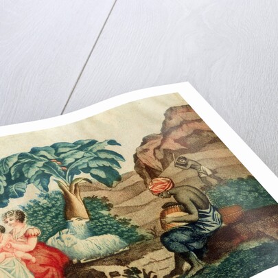 The Childhood of Paul and Virginie by French School