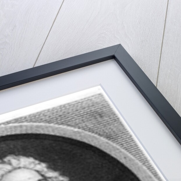 John Law by Hyacinthe Rigaud