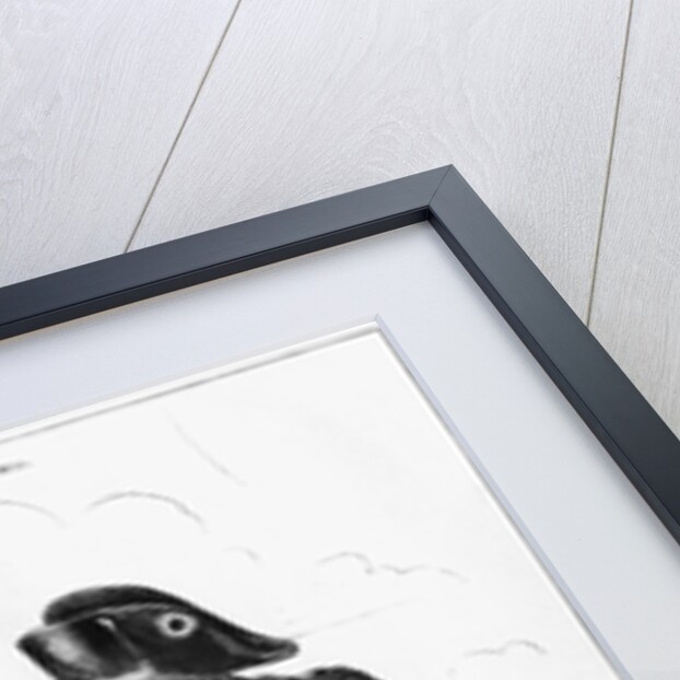 La Grenouille et le Boeuf : The Small and the Large Napoleon I, caricature from 'The Puppet Show' by French School