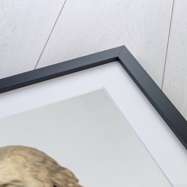 Bust of Louis XVIII by Louis Pierre Deseine