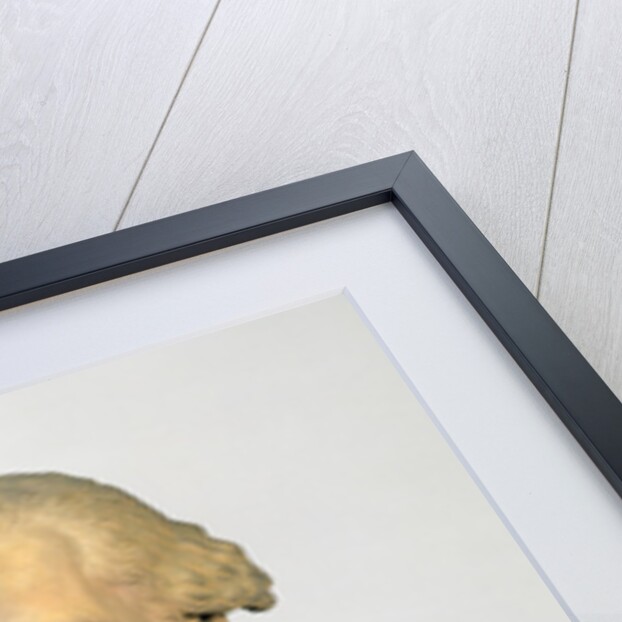 Bust of Louis-Pierre Deseine 1807 by Madeleine Anne Deseine