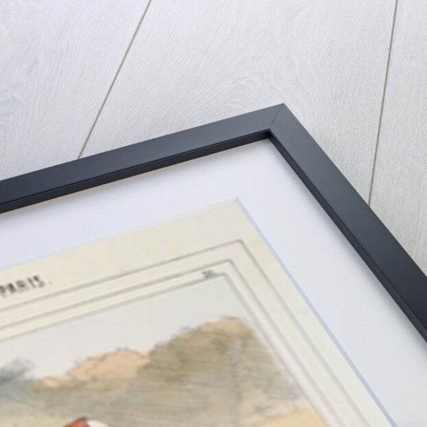 The Nanny by Alfred Andre Geniole