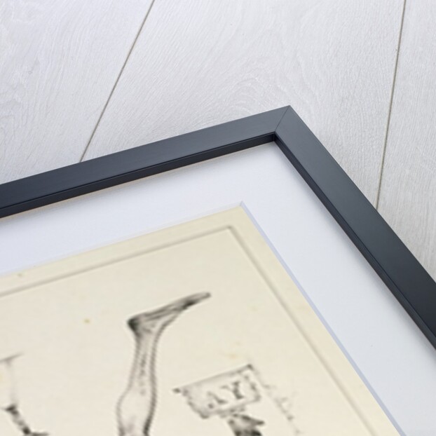 Letter Y from an alphabet primer by Victor Adam