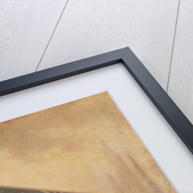 Interior of the Briche Laundry, Paris by Gentil
