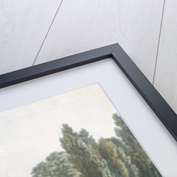 The Hothouse in the Jardin des Plantes, Paris by F.G. Wexelberg