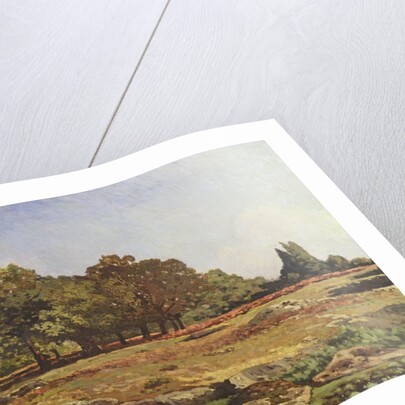 Avenue of Chestnut Trees at La Celle-Saint-Cloud, c.1866-67 by Alfred Sisley