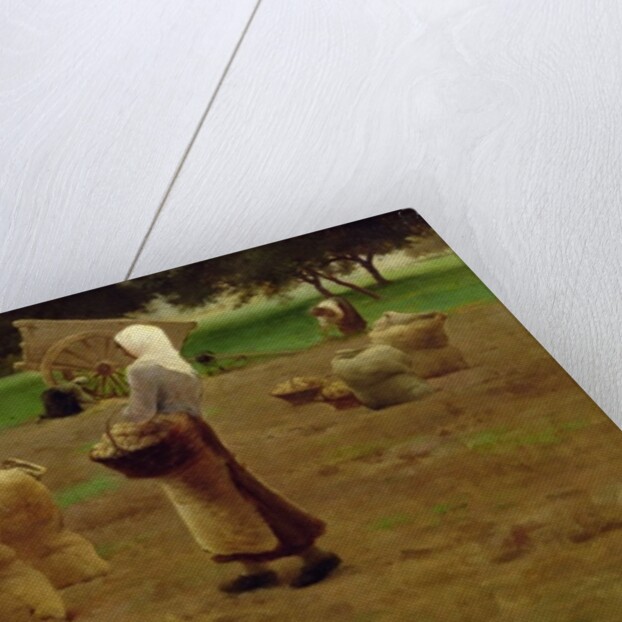 Harvesting Potatoes by Henri Lerolle