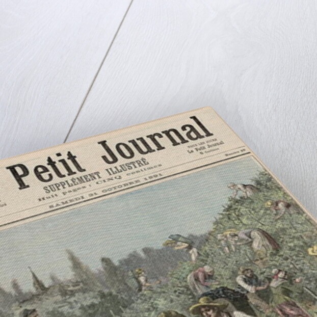 The Wine Harvest by Henri Meyer