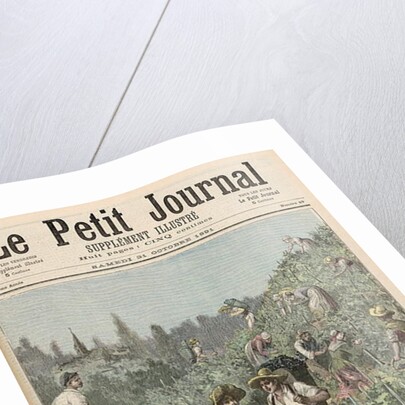 The Wine Harvest by Henri Meyer