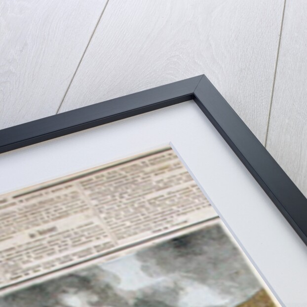 The French Flag Entering Abomey by Henri Meyer