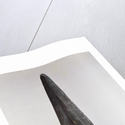 Rhodanian dagger, From Mirabel, 1800-1500 BC by Age Bronze