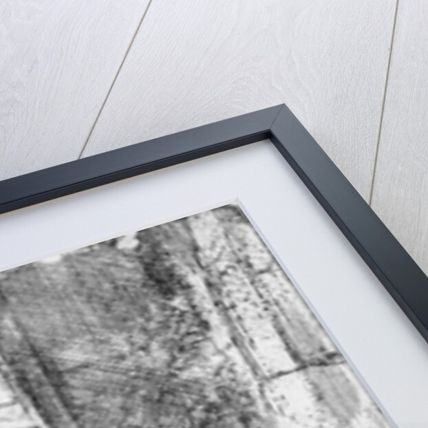 The Holy Family with a cat, 1654 by Rembrandt Harmensz. van Rijn