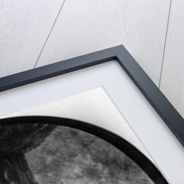 The Great Raising of Lazarus by Rembrandt Harmensz. van Rijn