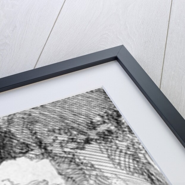 The Small Raising of Lazarus, 1644 by Rembrandt Harmensz. van Rijn