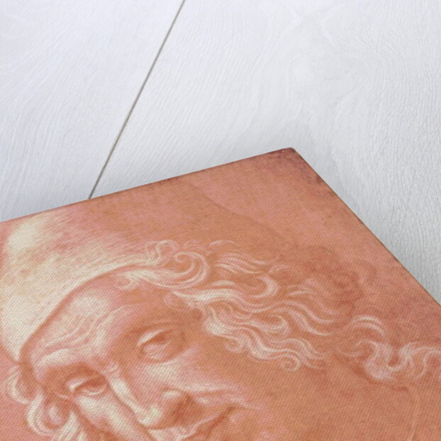 Head of a Man by Davide Ghirlandaio