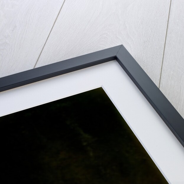 Resurrection of Lazarus by Michelangelo Merisi da Caravaggio