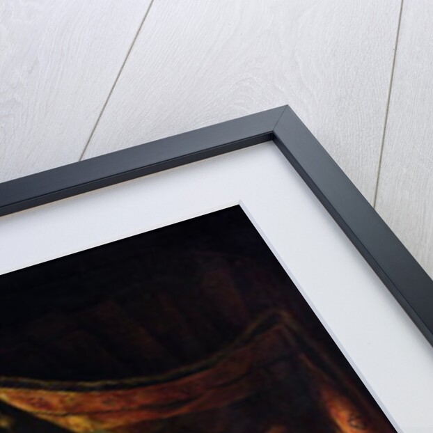 The Dropsical Woman, c.1663 by Gerrit or Gerard Dou