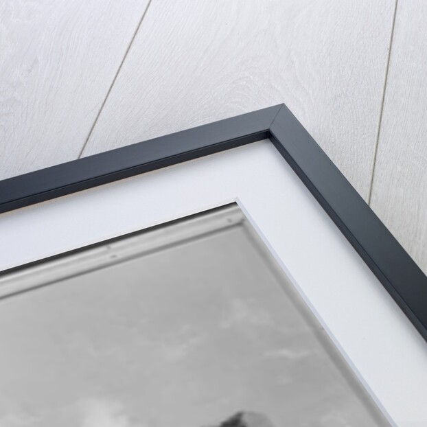 Taking of Laghouat by General Pelissier on the 4th December 1852, 1853 by Jean Adolphe Beauce